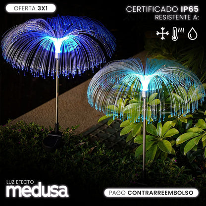 Luz Solar Efecto Medusa